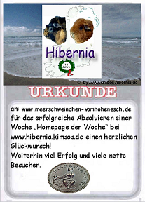 Hibernia_Award03
